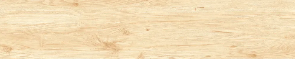 Matte Finish Clean Slate Porcelain 200x1000mm