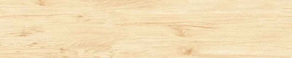 Matte Finish Clean Slate Porcelain 200x1000mm