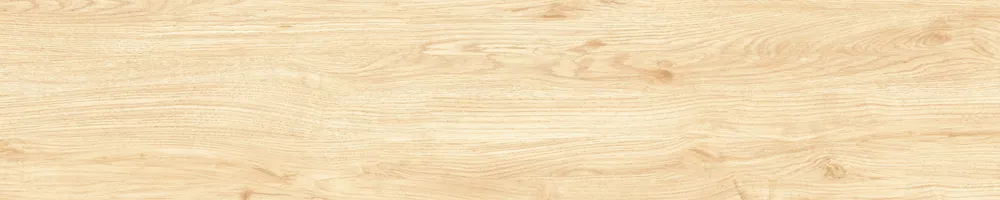 Matte Finish Clean Slate Porcelain 200x1000mm