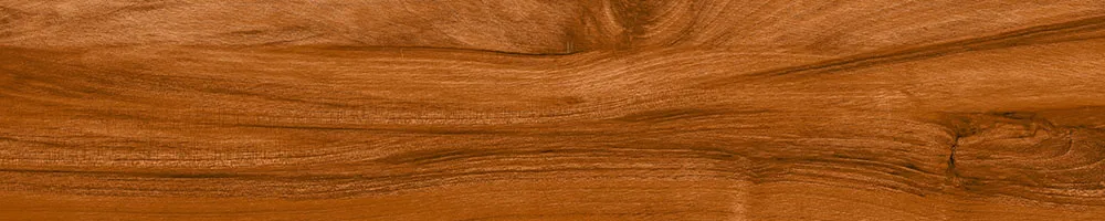 Matte Finish Coast Wood Porcelain 200x1000mm