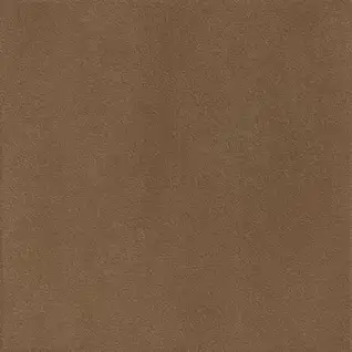 Matte Finish 10009 DK 400x400mm