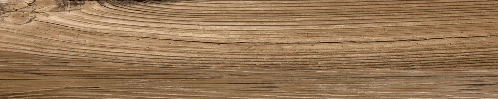 Matte Finish Conifer wood  Porcelain 200x1000mm