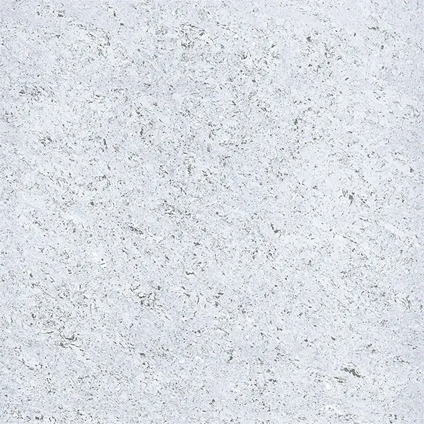 Glossy Finish 11001 Porcelain 600x600mm