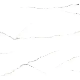 Glossy Finish 11039 600x600mm