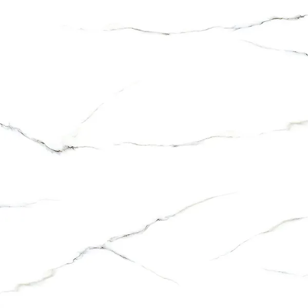 Glossy Finish 11039 Porcelain 600x600mm