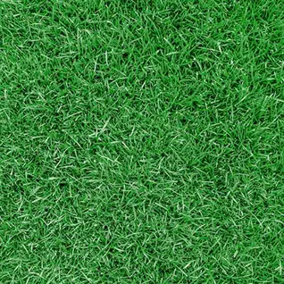 Matte Finish GR 9002 400x400mm