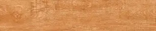 Matte Finish Holly Brown 200x1000mm