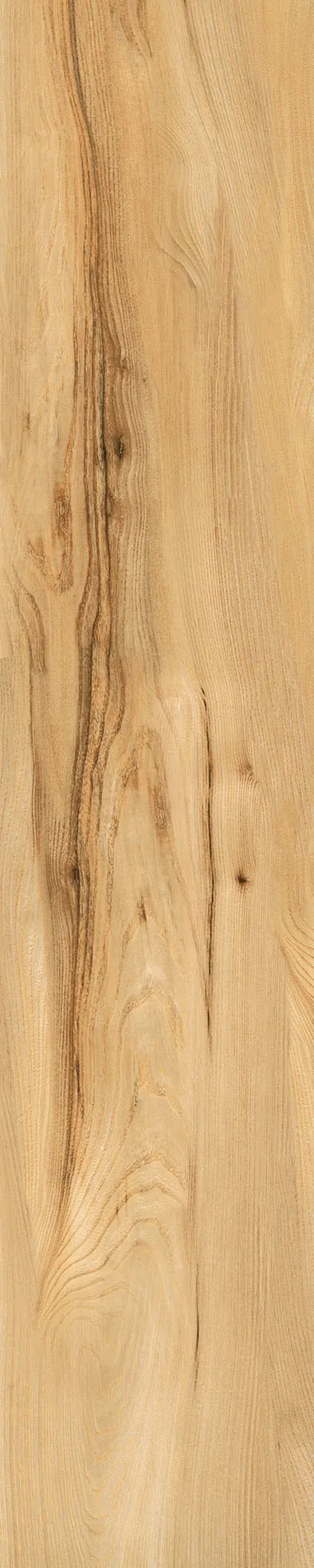 Matte Finish Biscuit 200x1000mm