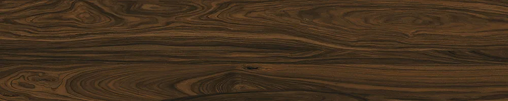 Matte Finish Jacobean Porcelain 200x1000mm