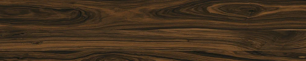 Matte Finish Jacobean Porcelain 200x1000mm