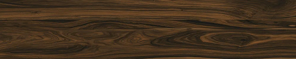 Matte Finish Jacobean Porcelain 200x1000mm