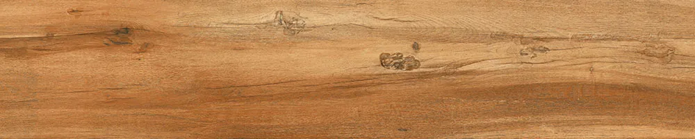 Matte Finish Knotty Hickory Porcelain 200x1000mm