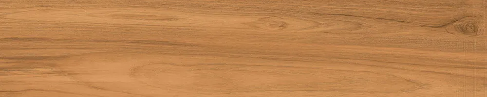 Matte Finish Latte  Porcelain 200x1000mm