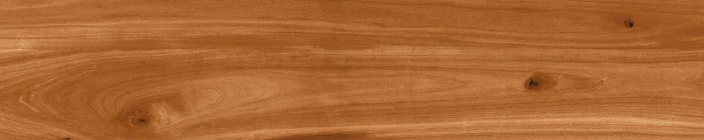 Matte Finish Mahogony Porcelain 200x1000mm