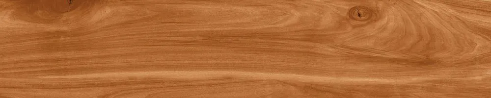 Matte Finish Mahogony Porcelain 200x1000mm