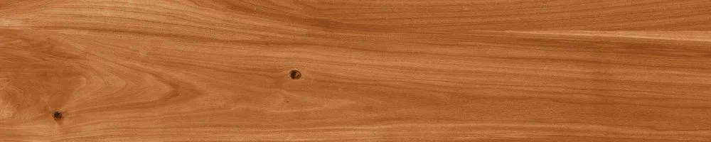 Matte Finish Mahogony Porcelain 200x1000mm