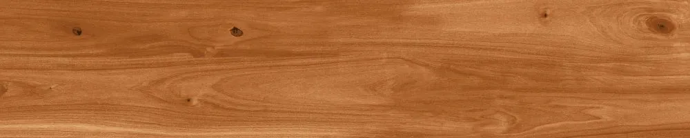 Matte Finish Mahogony Porcelain 200x1000mm