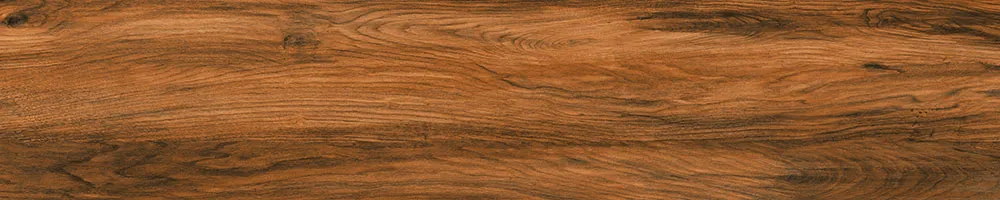 Matte Finish 10022 Porcelain 200x1000mm