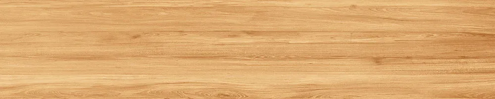 Matte Finish Pyrus Yellow Porcelain 200x1000mm