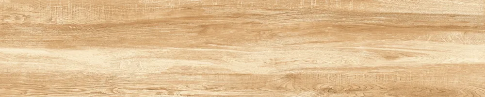 Matte Finish 10009 Porcelain 200x1000mm