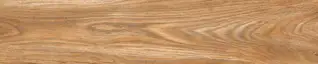 Matte Finish Teak Porcelain 200x1000mm
