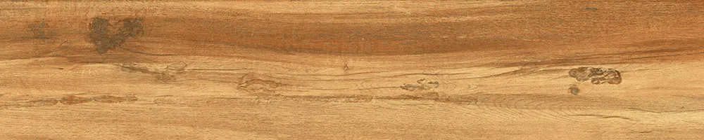 Matte Finish 10003 Porcelain 200x1000mm