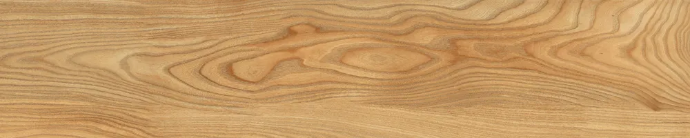 Matte Finish Poplar Porcelain 200x1000mm