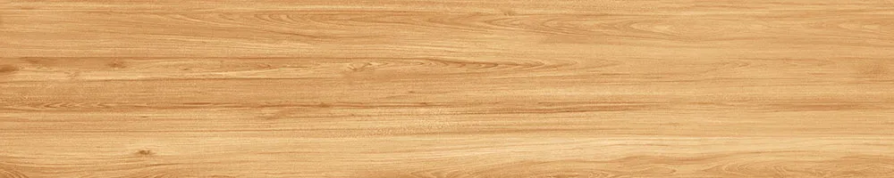 Matte Finish Pyrus Yellow Porcelain 200x1000mm