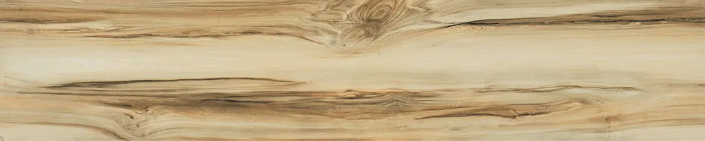 Matte Finish 10008 Porcelain 200x1000mm