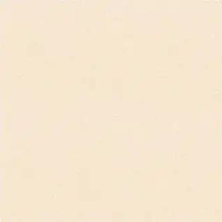 Matte Finish P 1105 L 400x400mm