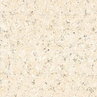 Matte Finish 6045 600x600mm