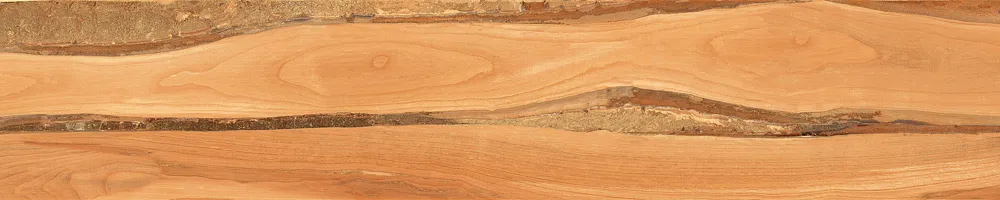 Matte Finish Sheesham Wood  Porcelain 200x1000mm