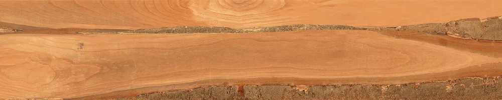 Matte Finish Sheesham Wood  Porcelain 200x1000mm