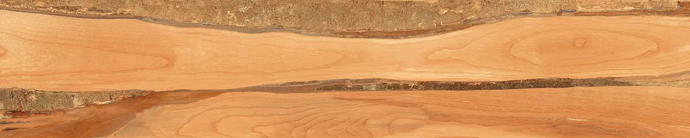 Matte Finish Sheesham Wood  Porcelain 200x1000mm