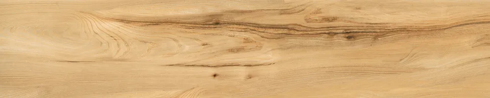 Matte Finish Biscuit Porcelain 200x1000mm