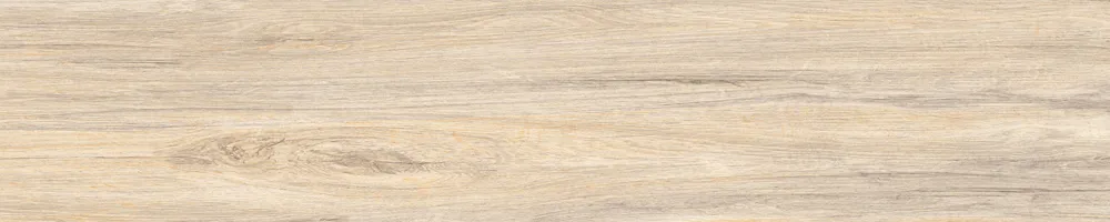 Matte Finish Verona Orange  Porcelain 200x1000mm