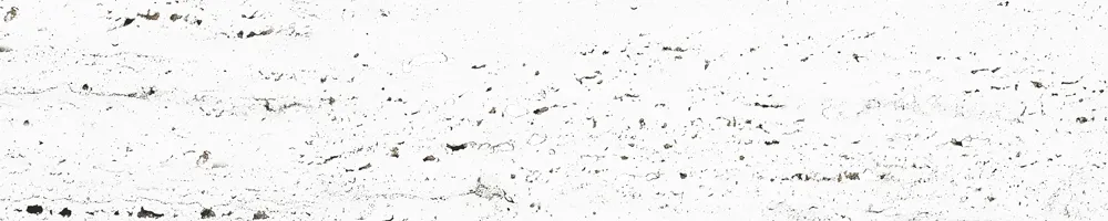 Matte Finish Vesta White 200x1000mm