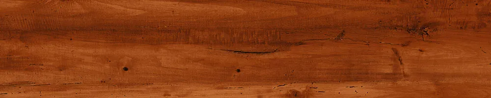 Matte Finish 10011 Porcelain 200x1000mm