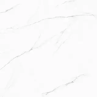Sugar Finish 17112 600x600mm